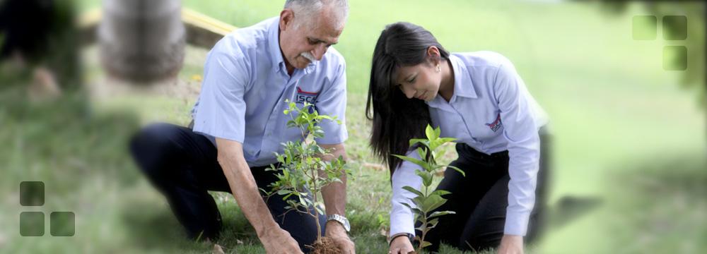 Nuestros Valores - Medio Ambiente